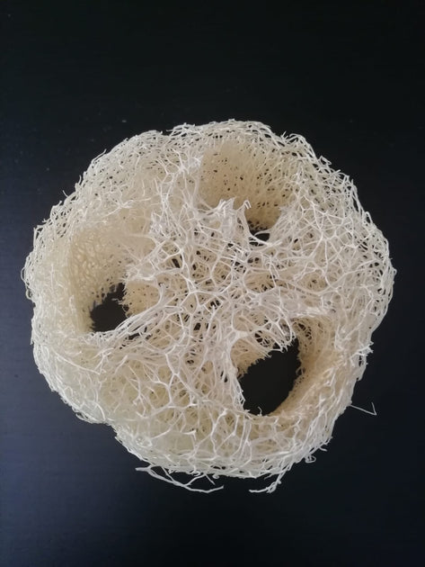 Luffa o Loofah la spugna vegetale - Ingegnoli