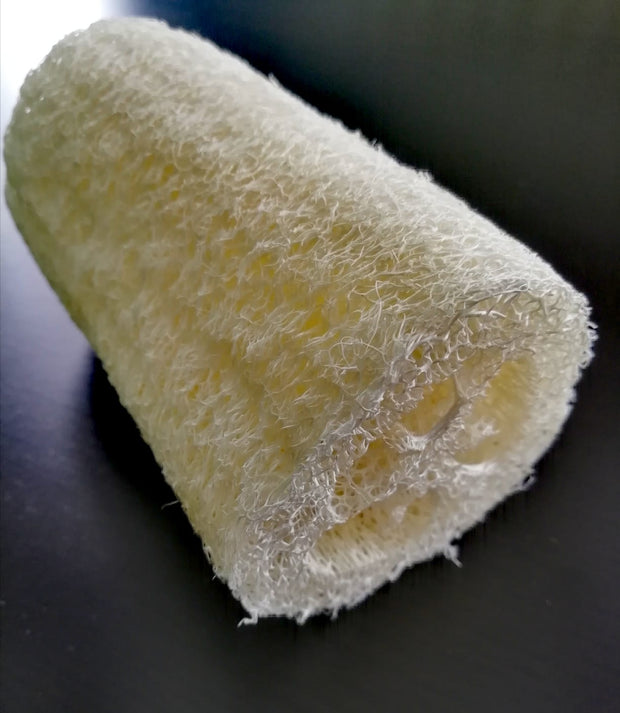 Spugna Spugna vegetale - Luffa